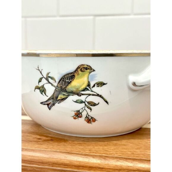Vintage Pillivuyt France Covered Tureen Dish Rare Exotic Birds - Picture 9 of 12